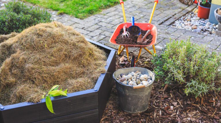 15 Types of mulch to Boost Your Garden