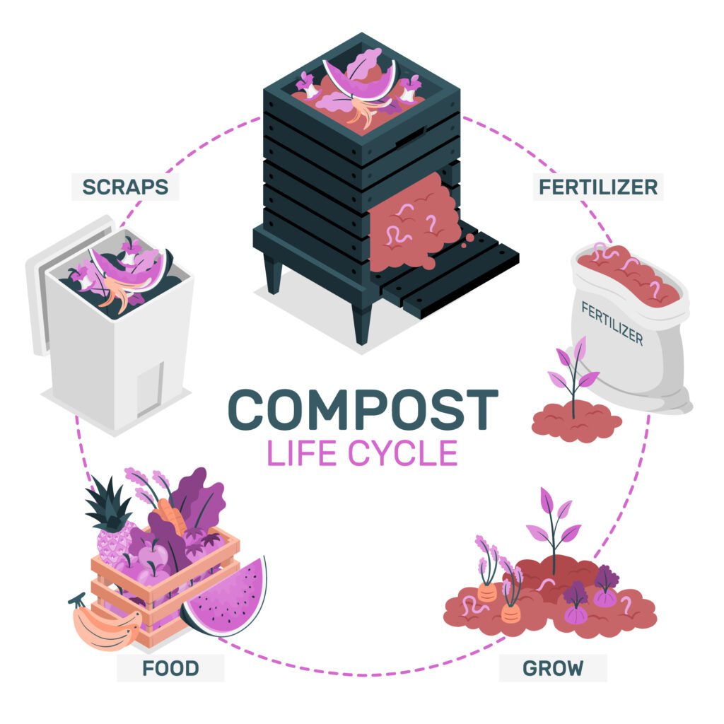 Composting Techniques to Enhance the Quality of Your Soil