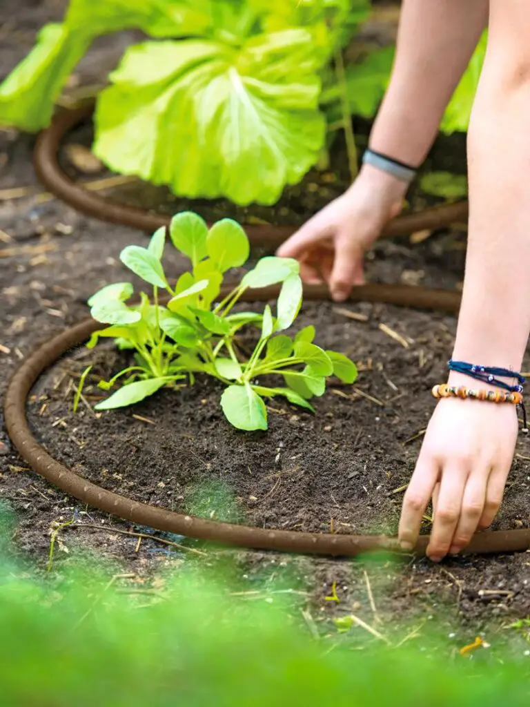 Assessing Your Garden's Watering Needs and Goals