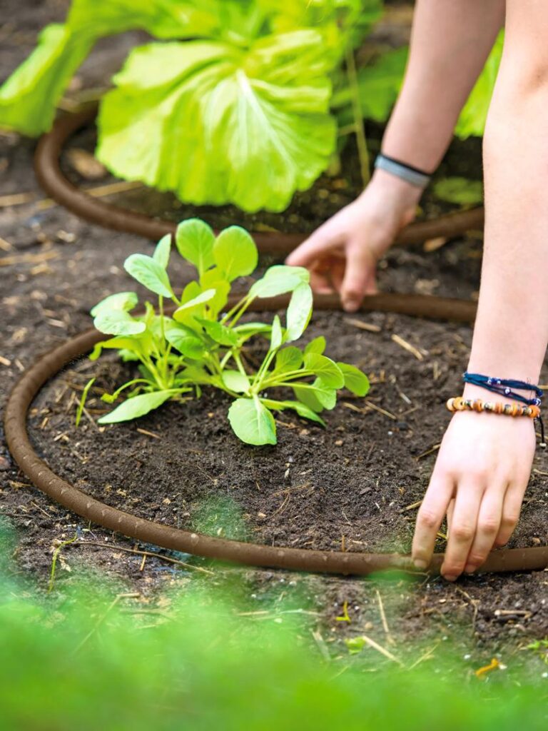 Soaker Hose: How to Plan and Install It in Your Garden