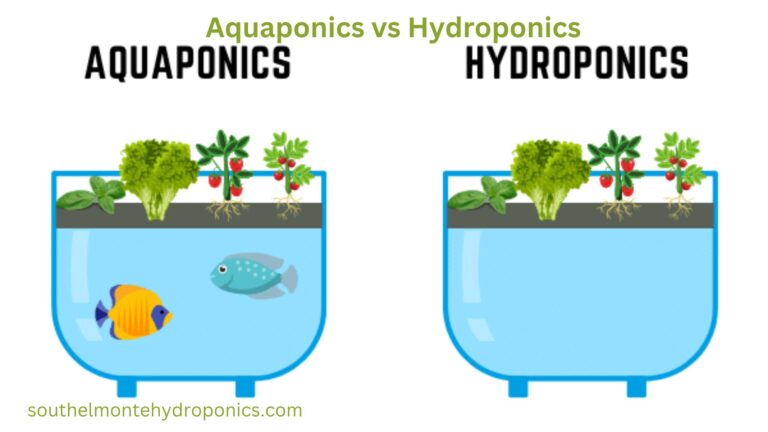 Aquaponics vs Hydroponics: The Best Benefits, Challenges, and Costs of Each System