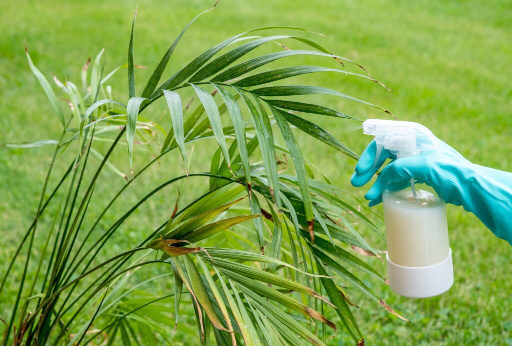 Neem Oil for Outdoor Pest Control: Protecting Your Garden and Plants