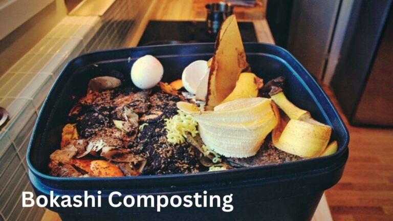 Bokashi Composting: A Simple and Effective DIY Solution