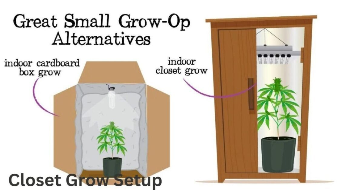 Closet Grow Setup (1)
