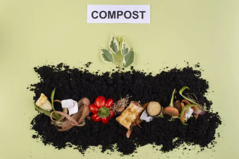 How to Compost Leaves the Right Way