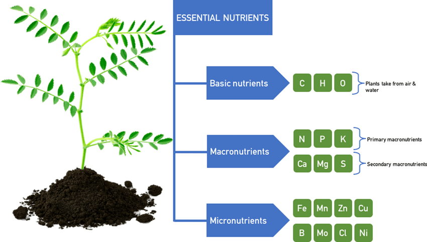  Nurturing Nutrients: Investigating the presence of essential nutrients in urine and their potential role in plant growth