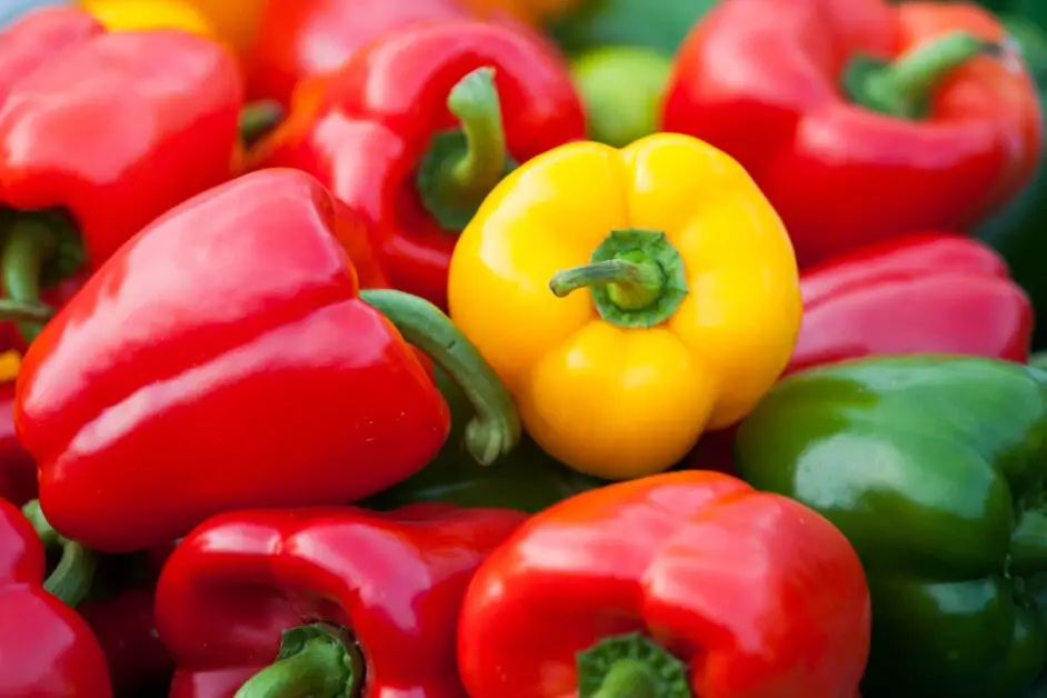 How to Grow Bell Pepper Plants: A Guide to Growing These Sweet and Crunchy Peppers