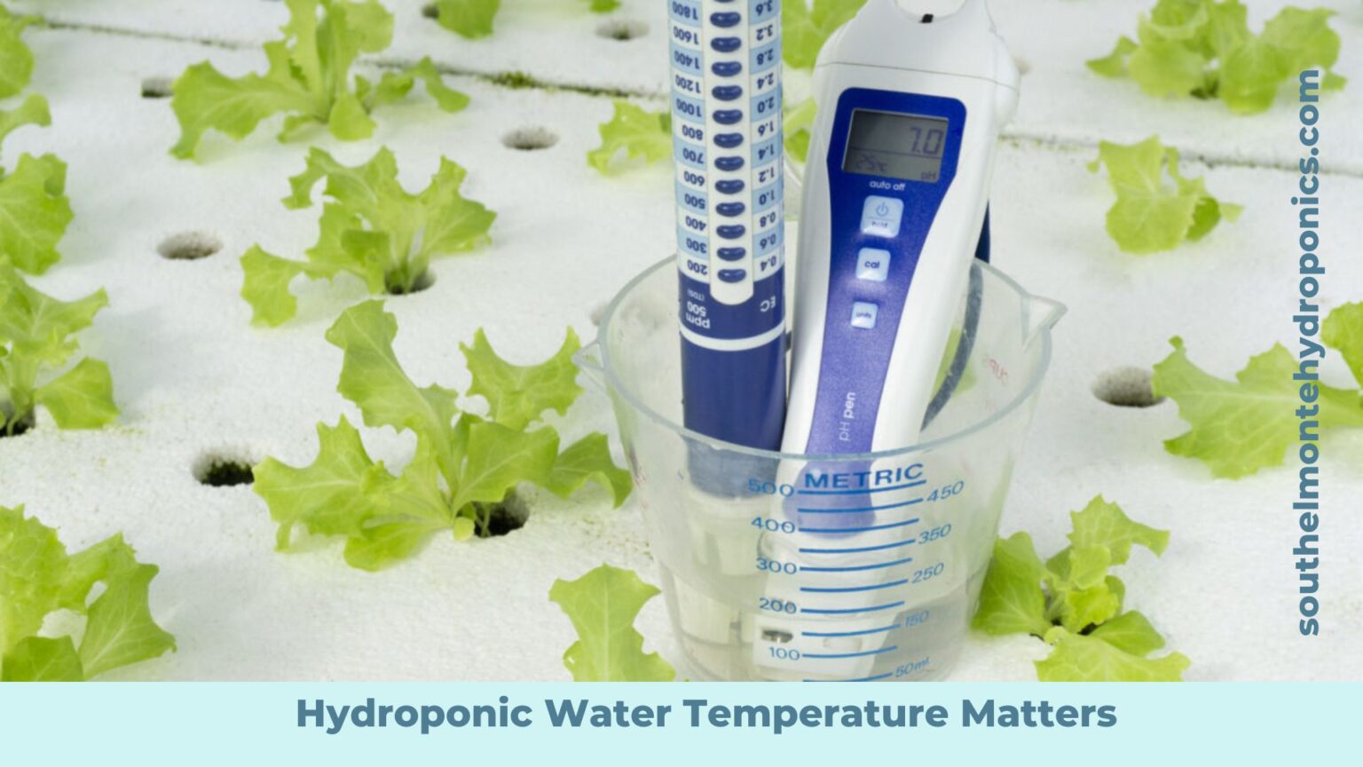 Why Hydroponic Water Temperature Matters The Best way to Maintain the