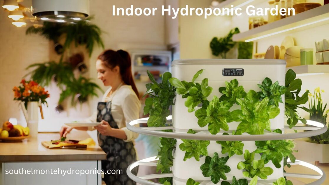 Indoor Hydroponic Garden