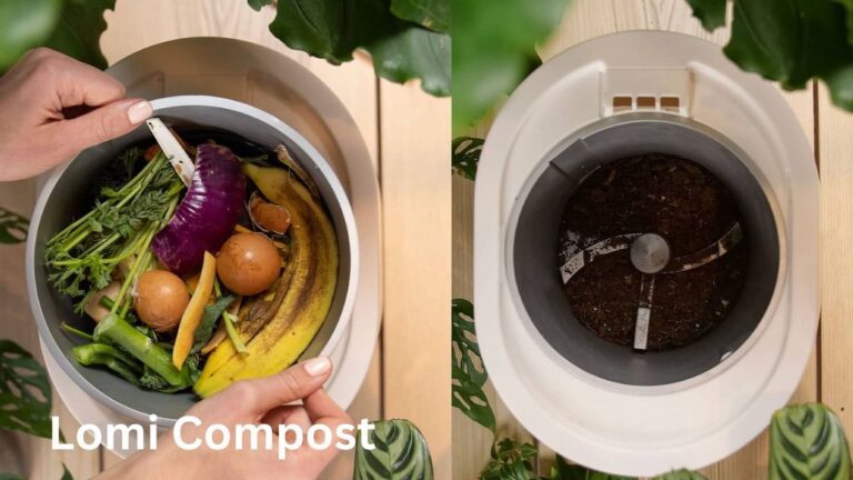 Lomi composter review: Is this the best of magic?