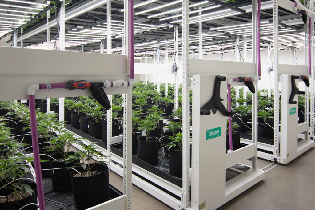 Optimizing the Layout and Organization of Your Grow Room