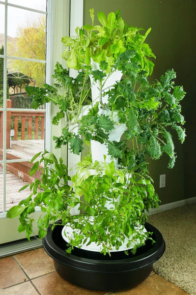 Overcoming Climate Limitations with Indoor Hydroponic Gardens