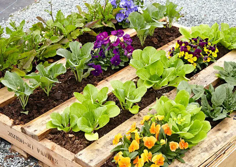 How to Make a Pallet Garden: A Step-by-Step Guide to Creating a Beautiful and Sustainable Garden with Pallets