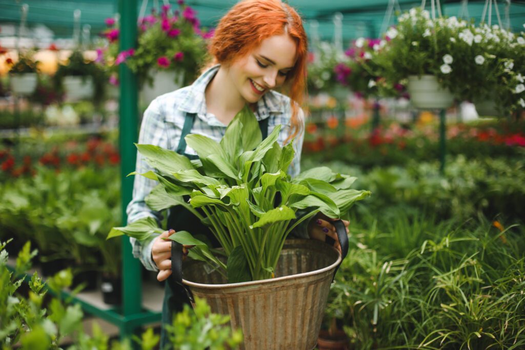  Plant Varieties for Your Garden