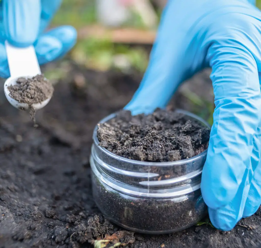 Conducting Soil Analysis to Determine Existing Nutrient Levels