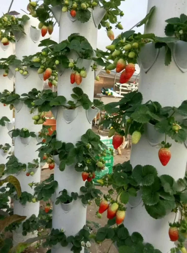 Strawberry Tower Hydroponics Vertical Tower