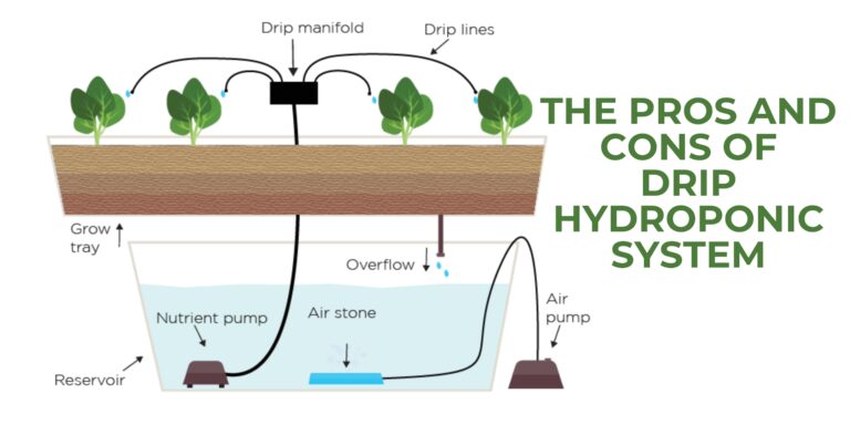 The best Pros and Cons of Drip Hydroponic System: Is It Worth It?