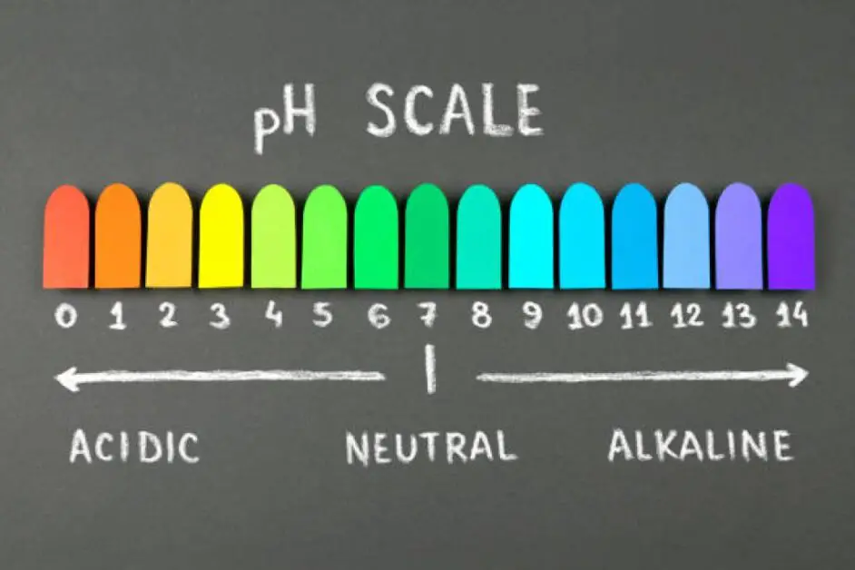 Maintaining Proper pH Levels in Your Hydroponic System