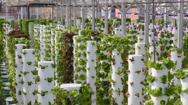 Why You Should Use Hydro Towers for Your Vegetables and How to Build One