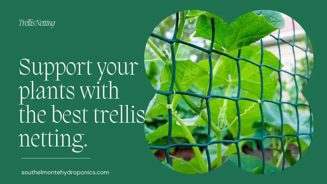 Trellis Netting Plant Support