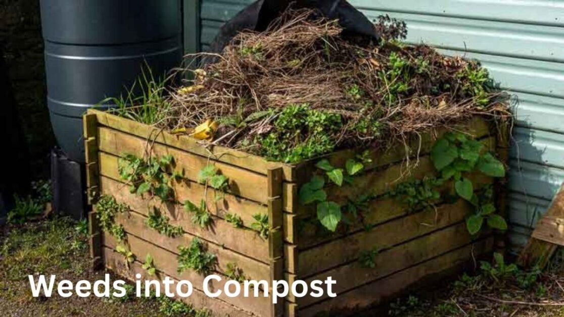 Weeds into Compost