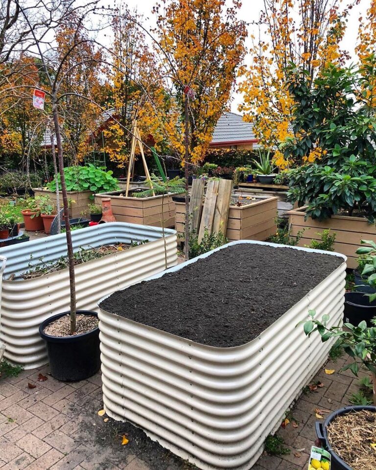 How to Fill Your Birdies Beds with the Right Soil