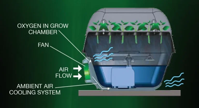 DIY Cloning Machine for Plant Propagation: How to Build Cloning Machine