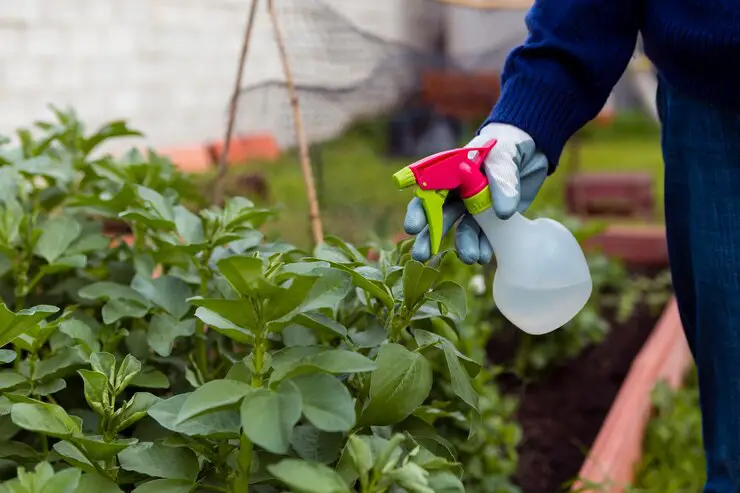 Choosing the Right Copper Fungicide for Your Organic Garden
