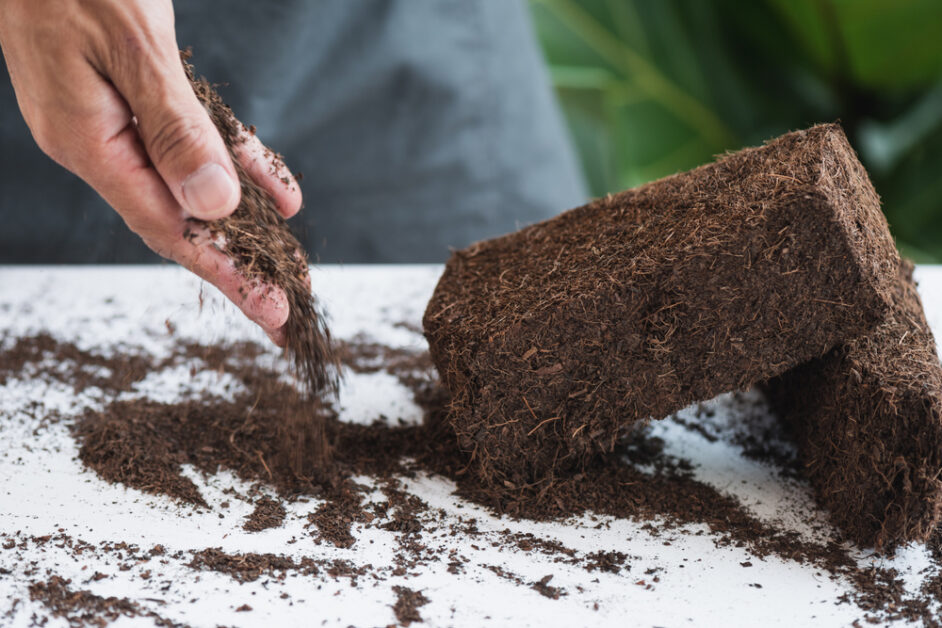 Harvesting and Utilizing Coco Coir: Sustainable Practices