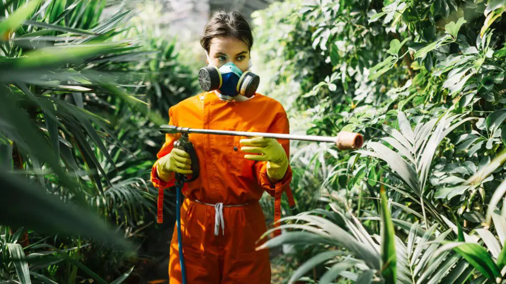 Pest Prevention and Management: Safeguarding Your Plants Against Common Pests