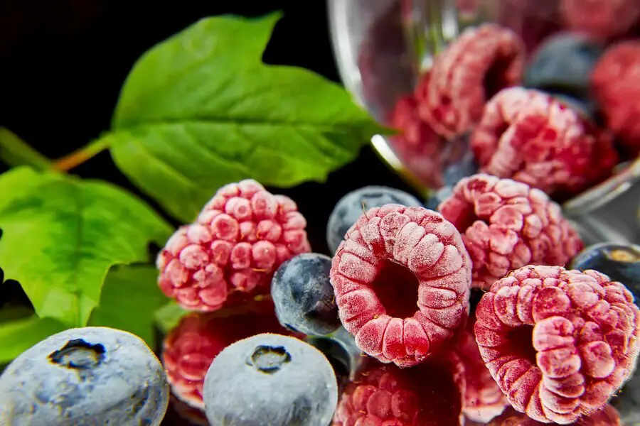 fresh berries ready eating 1048944 8104999 1