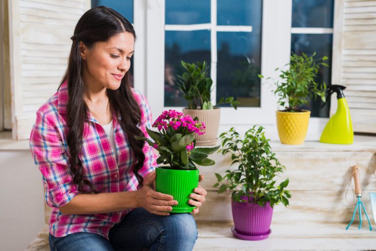 Garden Companion Planting Guide: A Guide to Choosing and Planting the best Companion Plants for Your Garden