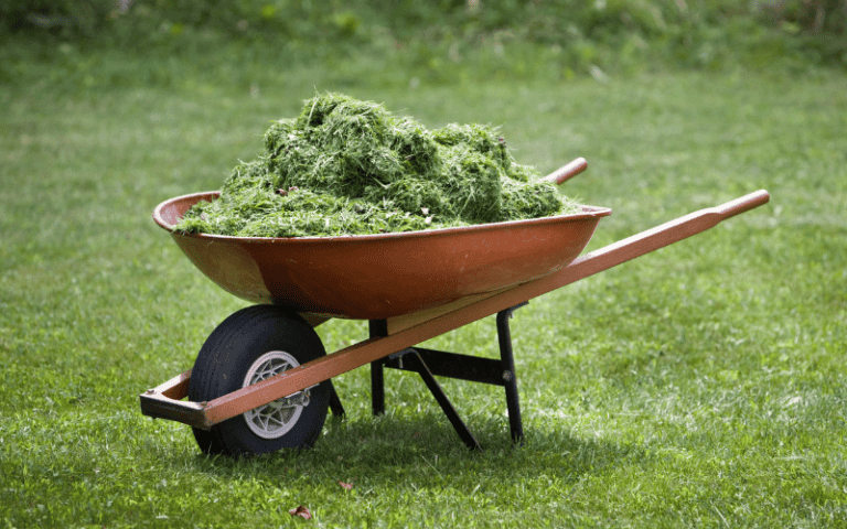 How to Use Grass Clippings as a Natural and Free Mulch