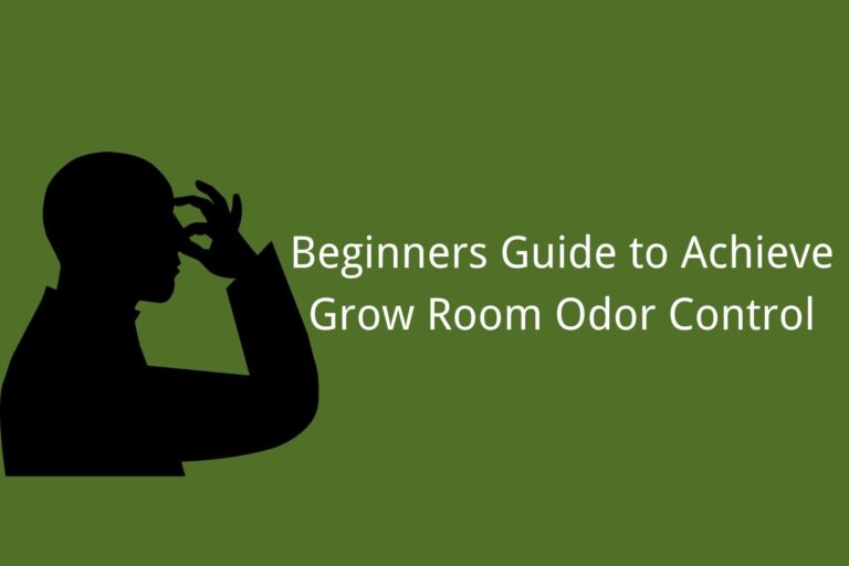 How to Slash and Erase Your Plants’ Odor: The Best Grow Room Odor Control Tips
