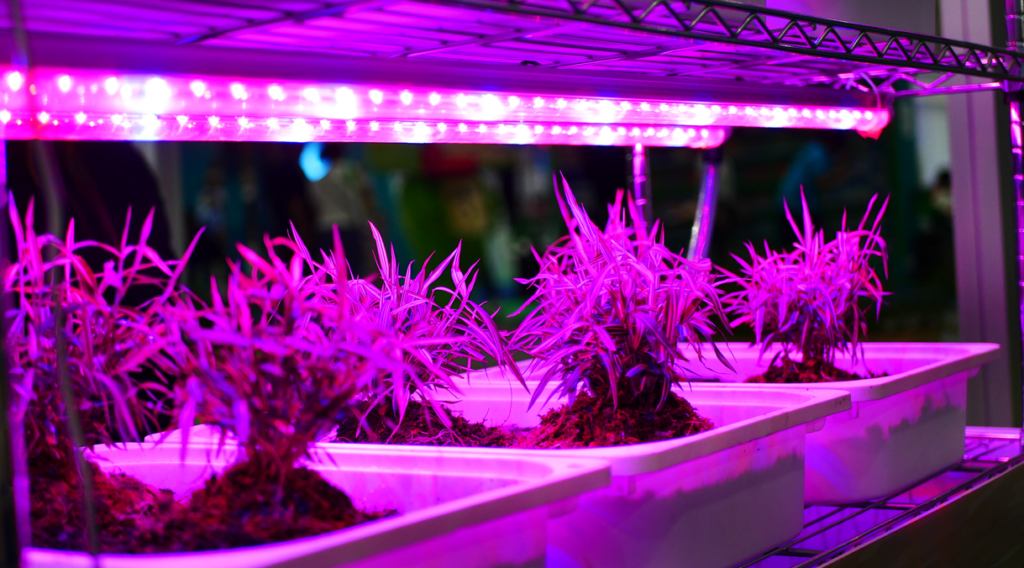 Installation Options: Consider the various installation options available for the grow light, such as hanging, mounting, or freestanding, and select the most convenient one for your
