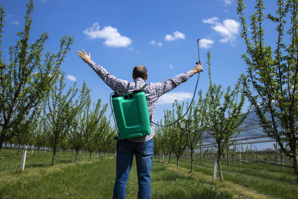 Happy agronomist farmer with sprayer and raised hands celebrating success in apple fruit orchard.