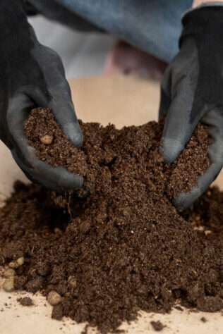 high angle hands holding potting soil 1