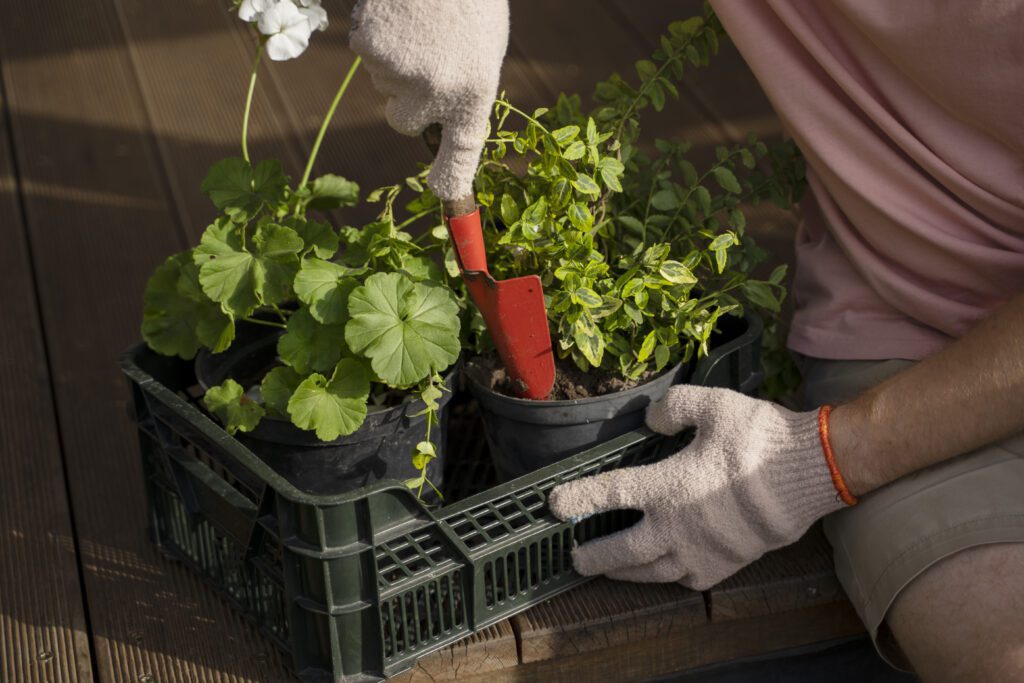 Seasonal care: Understanding the seasonal care requirements for your plants and how to adapt your gardening practices accordingly