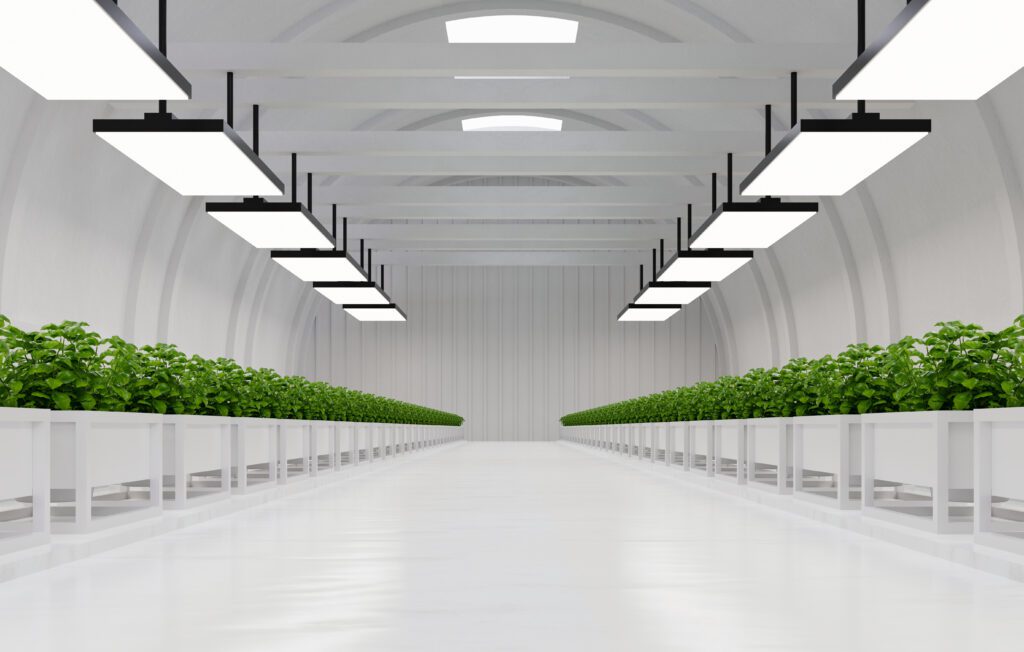 Hydroponic vegetable plant factory in exhibition space warehouse.