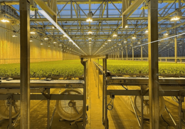 Grow Fans Grow Room Fans 101: 10 Types You Need to Know - South Elmonte Hydroponics