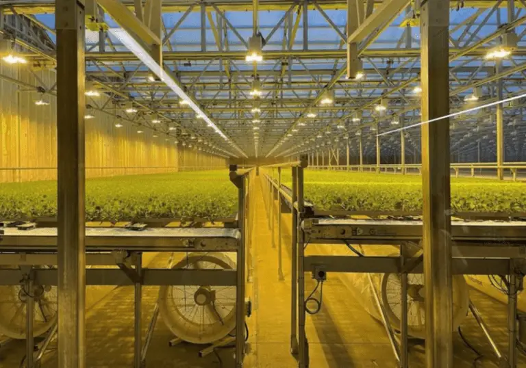 Grow Room Fans 101: 10 Types You Need to Know