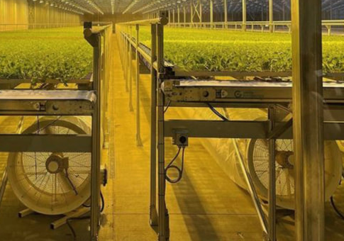 Grow Room Fans 101: 10 Types You Need to Know