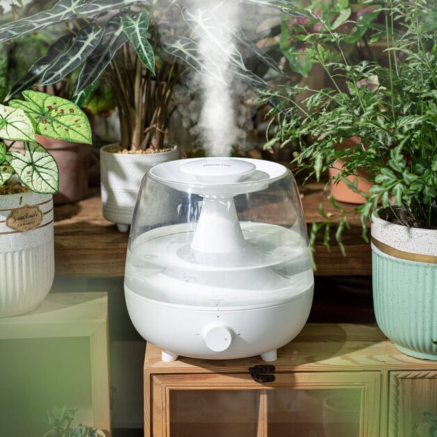 Ultrasonic Plant Humidifiers: Advantages and Disadvantages
