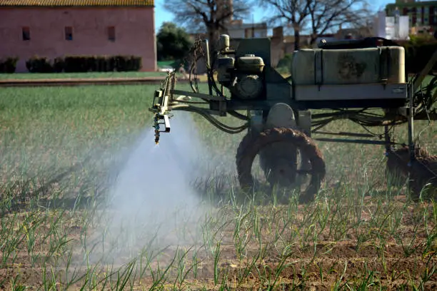 Unveiling the Key Components of an Effective Foliar Spray