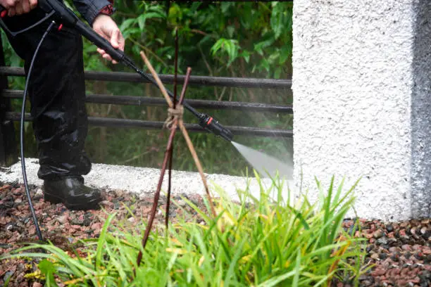 Foliar Spray: What It Is, How It Works, and How to Use It for Your Plants
