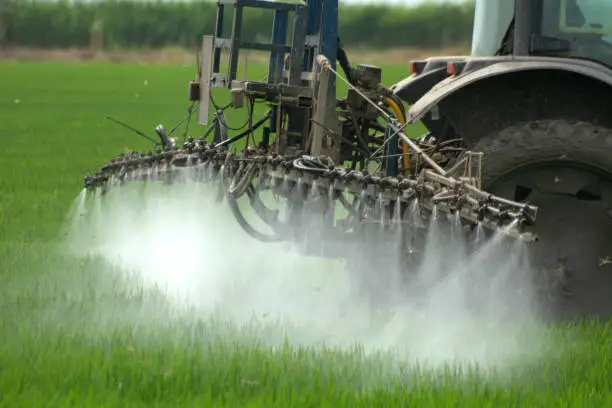 Addressing Common Misconceptions about Foliar Sprays