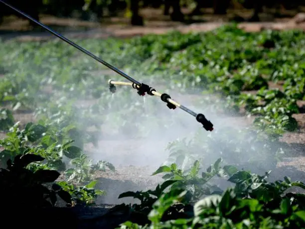 Safety Precautions and Best Practices for Using Foliar Sprays