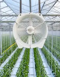 Axial Inline fan in a greenhouse
