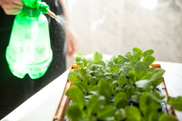 Eliminate Odors: Keep Your Hydroponic Grow Room Fresh and Clean