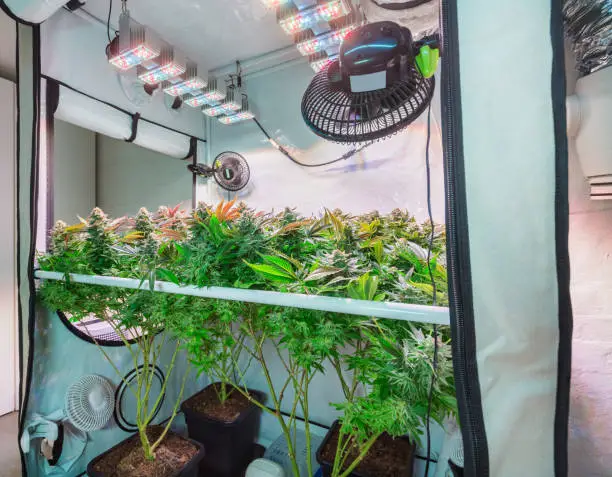 Below is a Small Size Grow Room with Few Inline Fans.